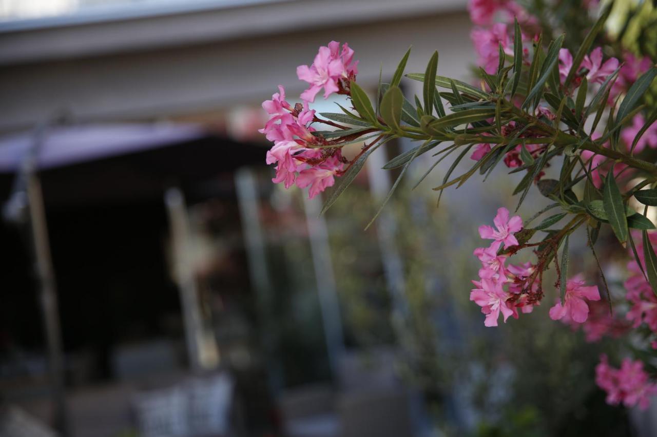 Guest House Lorenta Vodice Buitenkant foto