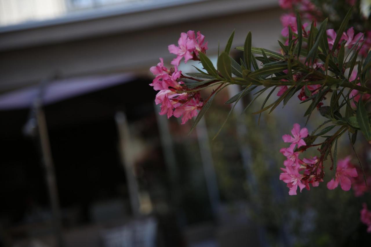 Guest House Lorenta Vodice Buitenkant foto